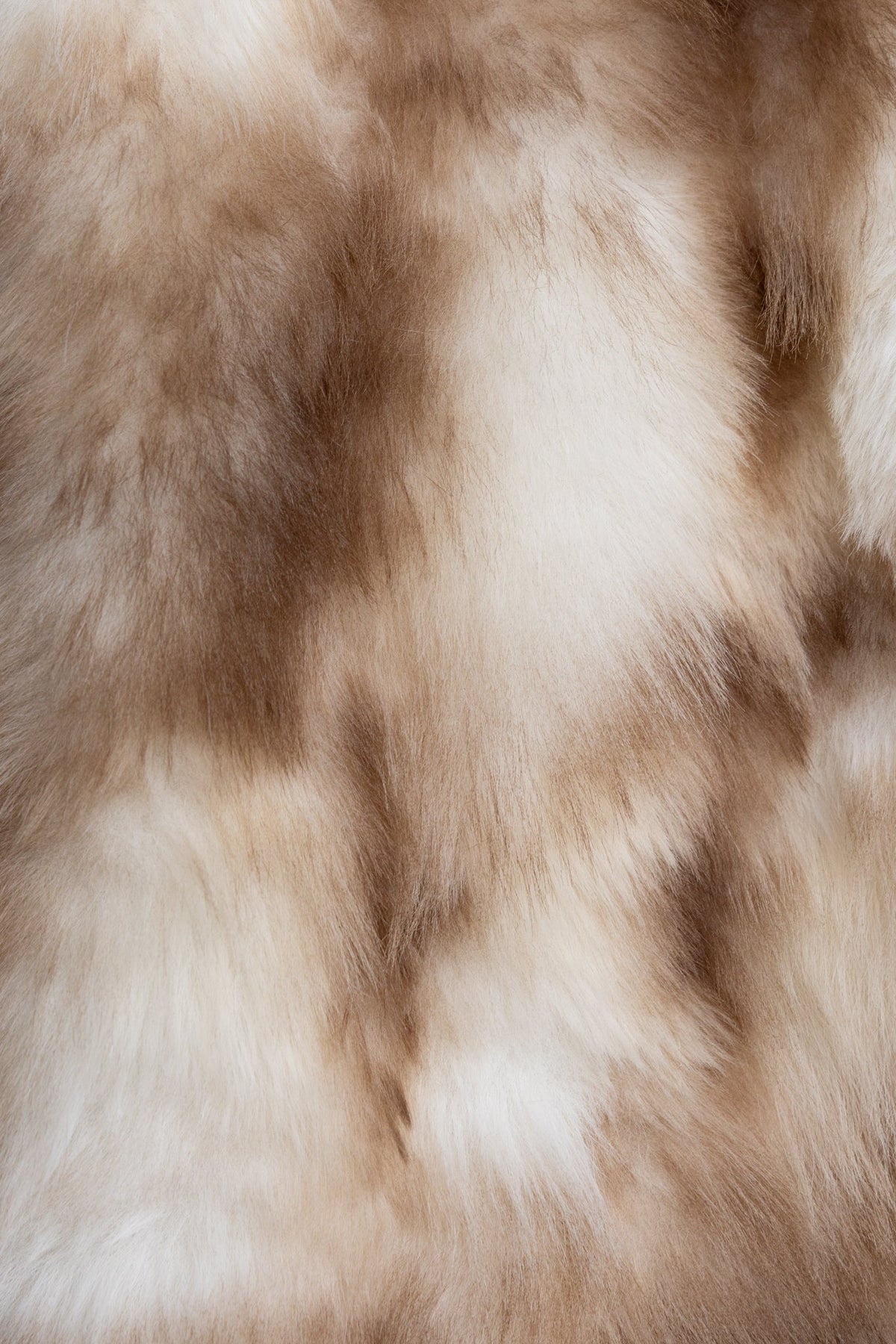 Evora Lane Coat